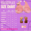 Breast Plate Lay Away Program