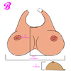 C Breast Plate